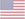 USA FLAG